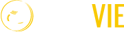 Senovie - Cancers du sein & mobilités thérapeutiques